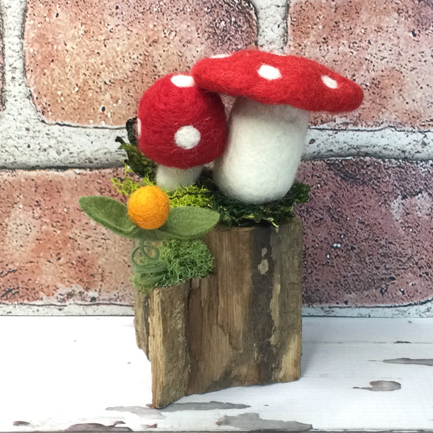 Red Wooly Mushrooms with Bud on Natural Tree Stump