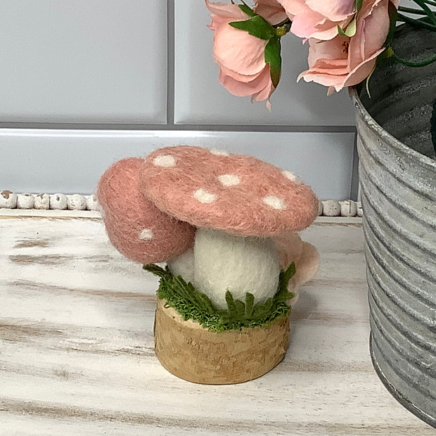2 Salmon Wooly Mushrooms & Flora on Natural Wood Base