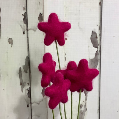 Star-Raspberry/Wool Buddy on 18" Stem