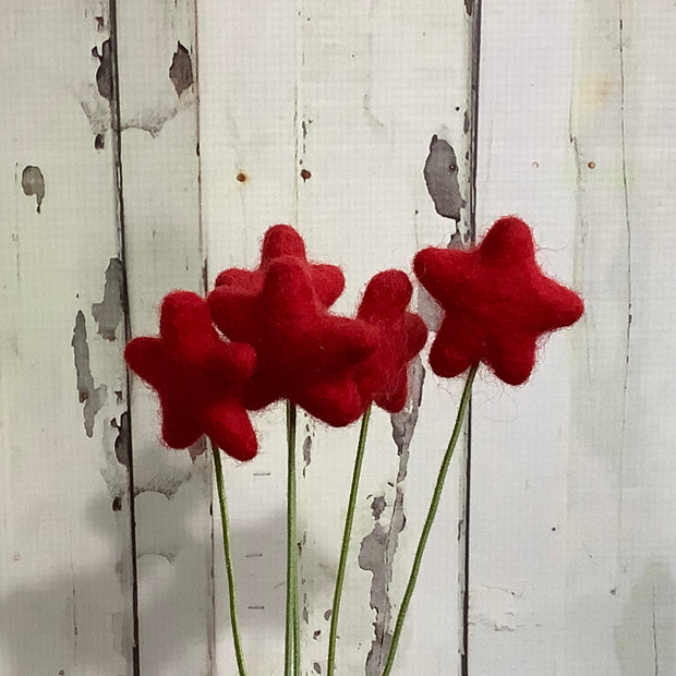 Star-Red/Wool Buddy on 18" Stem