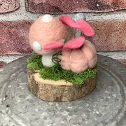 Blushwood/Cherry Blossom Mushroom & Pumpkin on Natural Wood Base