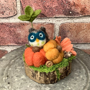 Hooty/Wooly Owl with Pumpkins & Flora on Natural Wood Base-Autumn