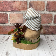Olly/Striped Hat Gnome with Pumpkins & Flora on Natural Wood Base