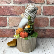Archie/Striped Hat Gnome with Pumpkins & Flora on Natural Wood Base