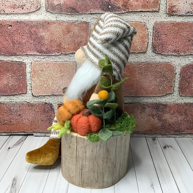 Archie/Striped Hat Gnome with Pumpkins & Flora on Natural Wood Base