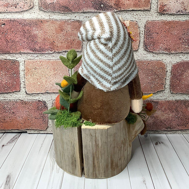 Archie/Striped Hat Gnome with Pumpkins & Flora on Natural Wood Base