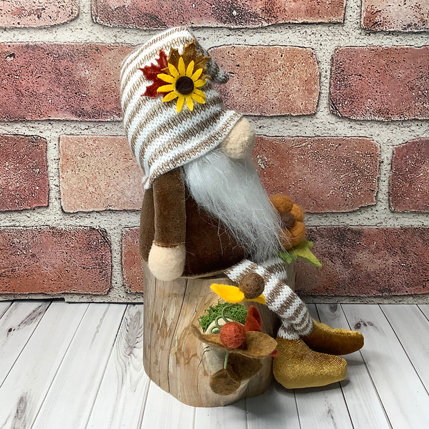 Archie/Striped Hat Gnome with Pumpkins & Flora on Natural Wood Base