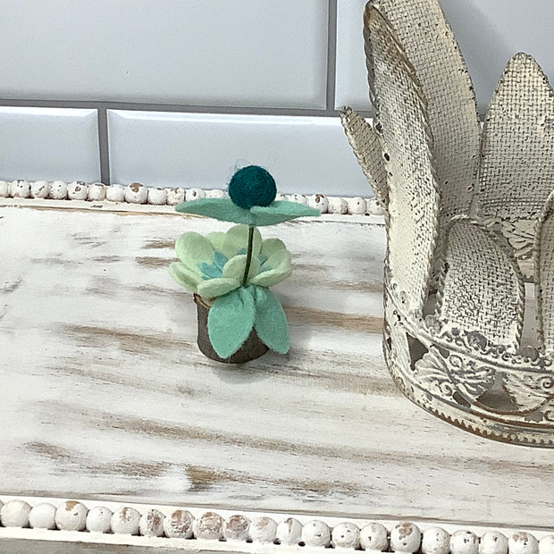 Mint Mini Flower Garden on Natural Wood Base