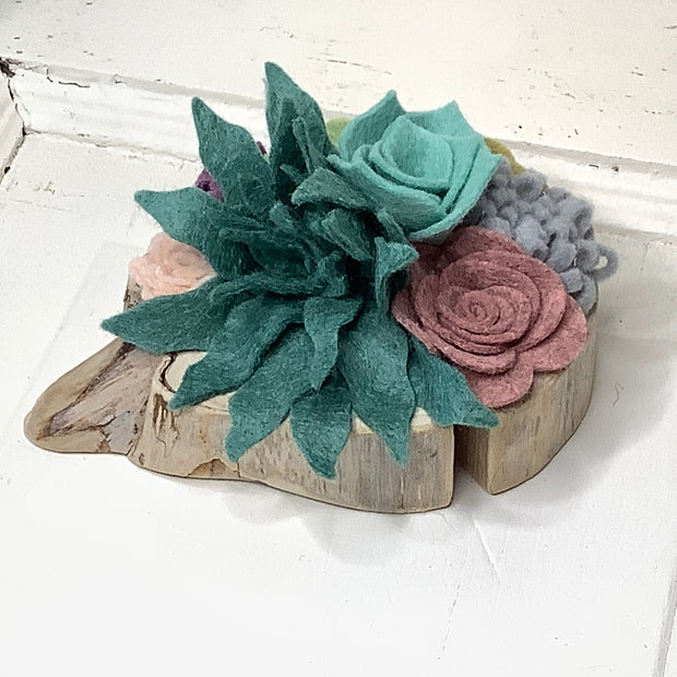 Succulent, But Make It Soft