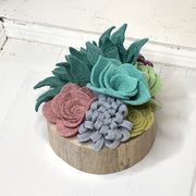Succulent, But Make It Soft