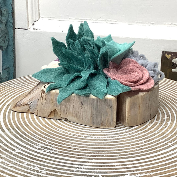Succulent, But Make It Soft