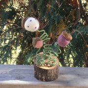 Wooly Acorns/On Natural Tree Stump