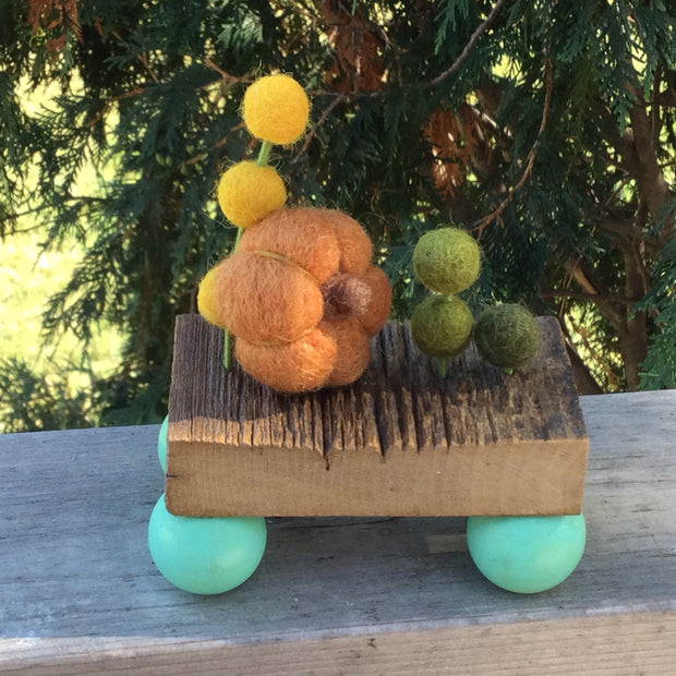 Wooly Pumpkins on Vintage Barnwood