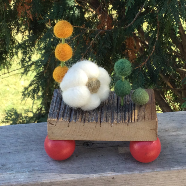 Wooly Pumpkins on Vintage Barnwood