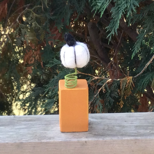 Wooly Pumpkin/Mini's by lydeen
